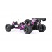 Baha 10B 2WD BRUSHLESS Buggy - PURPLE │ FREE SHIPPING Baha 10B 2WD BRUSHLESS Buggy - PURPLE │ FREE SHIPPING